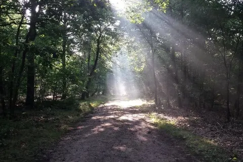 Recreatiepark De Tien Heugten foto 28