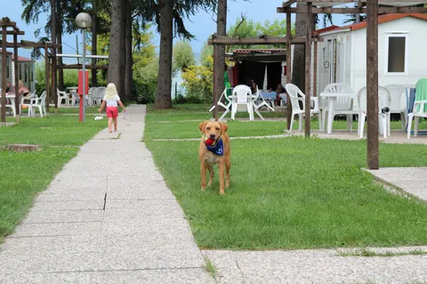 San Benedetto Camping Relais in Peschiera del Garda — foto 18