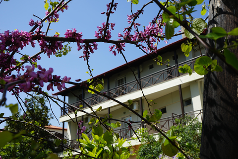 Hotel Morfeas foto 3