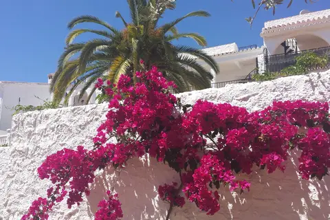 El Capistrano Sur in Nerja — foto 13
