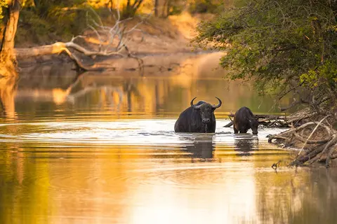Pragtig Suid-Afrika foto 5