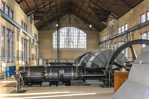Hollandsch Glorie in Westerveld — foto 8