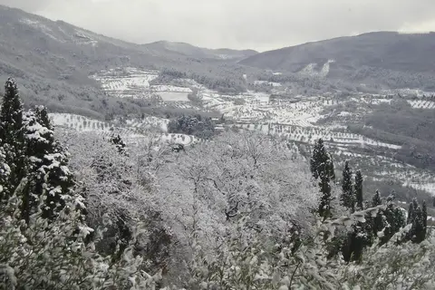 Il Trebbiolo in Pontassieve, foto 30
