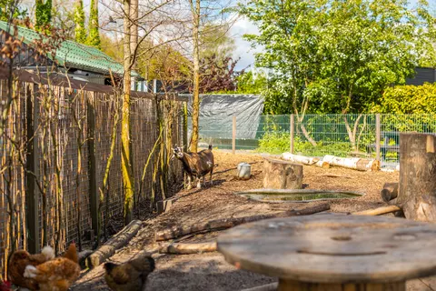 Vakantiepark Spaarnwoude foto 32