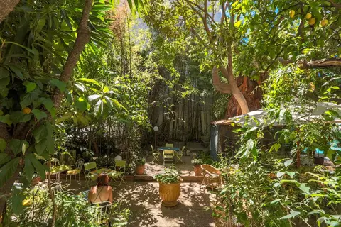 Le Windsor, Jungle Art Hotel in Nice, foto 24