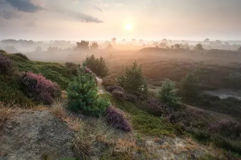 Hotel Eeserhof foto 19