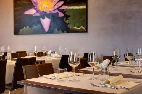 Klima Hotel Milano Fiere in Milaan, foto 11