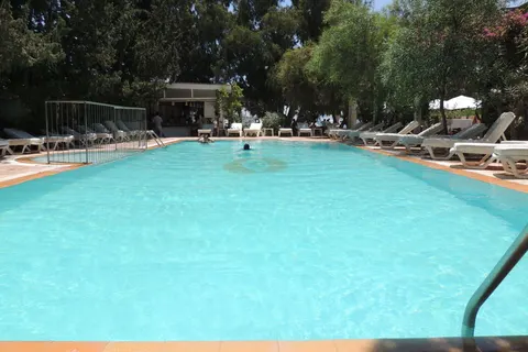 Okaliptus in Bodrum — foto 3