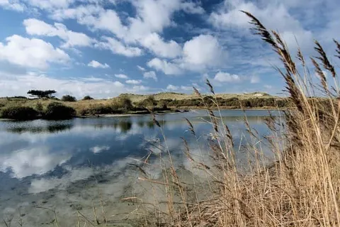 Boutiquehotel Villa de Hazelaar foto 26