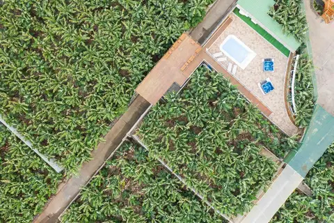 Hacienda La Dehesa in Buenavista del Norte — foto 9
