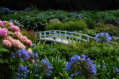 Ontdek Devon en Cornwall foto 14