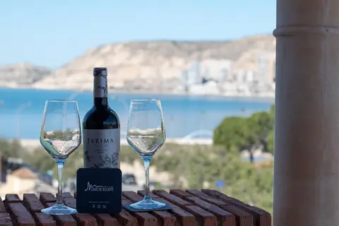 Hotel Boutique Calas de Alicante in Alicante — foto 28