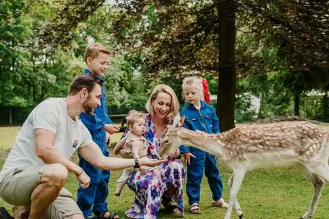 Vakantiepark Dierenbos in Vinkel — foto 12