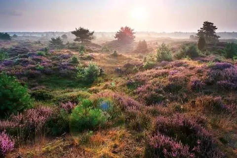 Hotel Martensplek foto 20