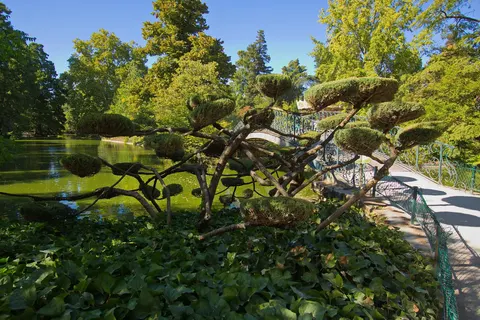 Dordogne, wijn en Bordeaux foto 23