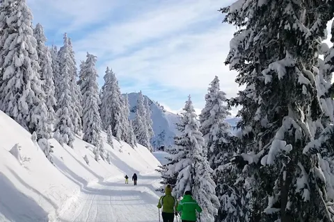 Vakantiepark Salztal Paradies foto 16