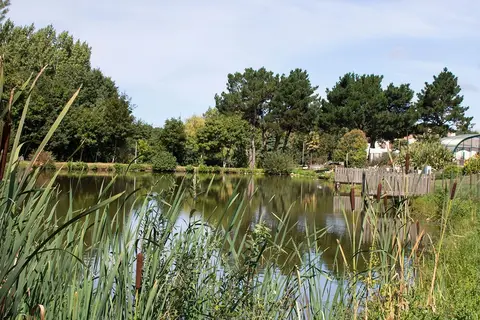 Camping La Bretonnière in Saint-Julien-des-Landes — foto 21