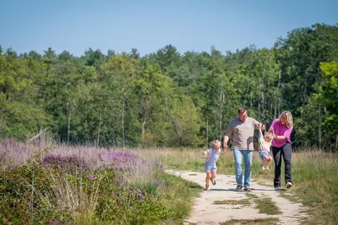 De Tovertuin in Hoogerheide — foto 8