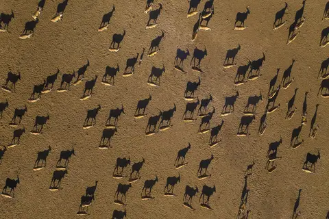 Anantara Sir Bani Yas Island Al Yamm Villa Resort in صير بني ياس — foto 15