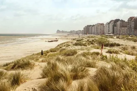 ibis budget Knokke foto 17