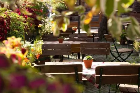 Hotel Zum Grünen Kranz foto 32