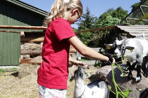 Rosenvold Strand Camping in Hedensted Municipality — foto 2