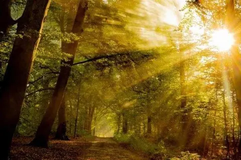 Hotel Zonneheuvel foto 16