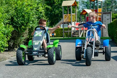 Camping De Vogel foto 4