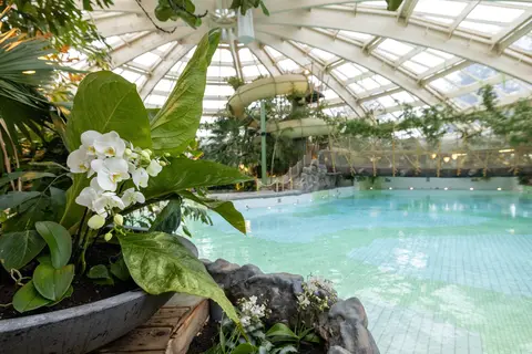 Center Parcs De Huttenheugte in Coevorden — foto 19