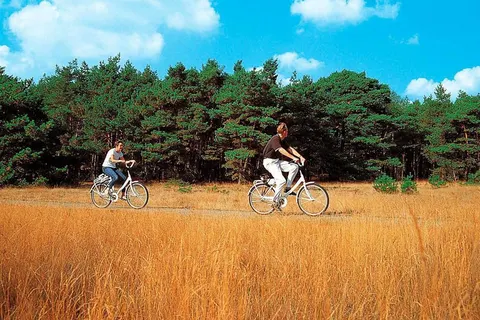 De Oringer Marke foto 5