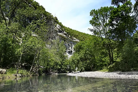 Camping Medrose foto 14