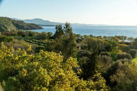 Delfinia foto 3
