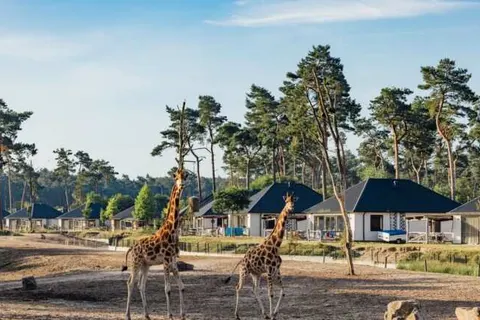 Safari Resort Beekse Bergen foto 5