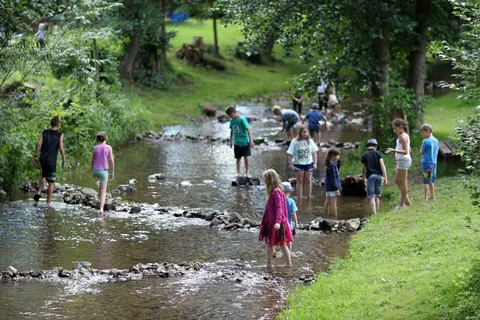 Camping Le Giessen foto 25