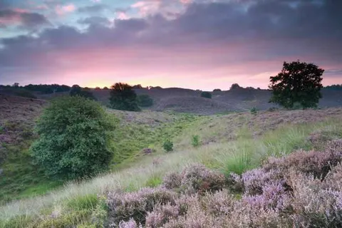 Boutique Hotel Beekhuizen foto 28