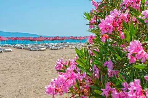 Bendis Beach Hotel in Bodrum, foto 14