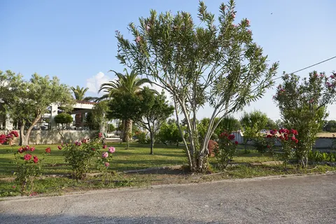 Kalloni Bay in Skala Kalloni — foto 17