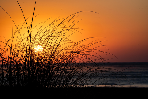 HVD Reina del Mar foto 32