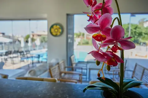 Ivory Hotel in Θεολόγος — foto 7