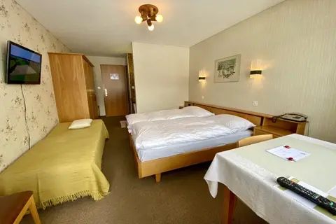 Hotel Alpina Parpan in Parpan — foto 14