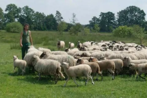 Recreatiecentrum Adelhof foto 16