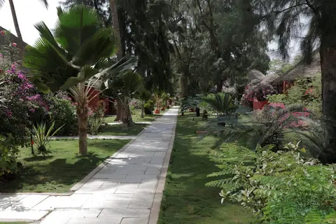Royal Horizons Baobab in La Somone — foto 29