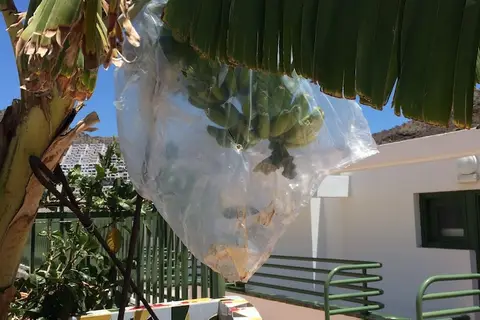 Apartamentos Porlamar in Puerto Rico — foto 21