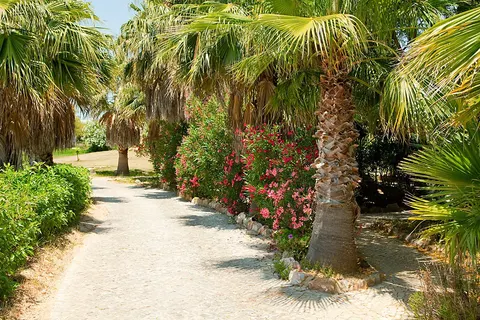 Appartementen Quinta do Mar - Country & Sea Village foto 13