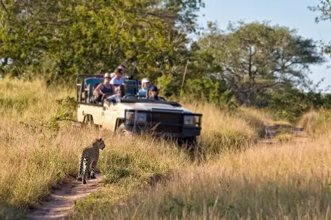 Ultimate Safari Experience - Sefapane Lodge in Noorderlijk Zuid-Afrika, Krugerpark, Panoramaroute — foto 5