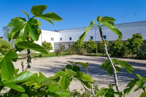 Masseria Rauccio in Melendugno — foto 3