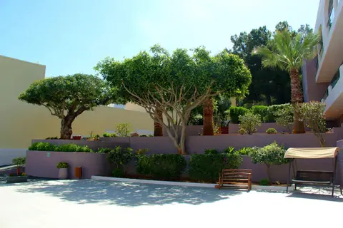 Katrin Hotel & Bungalows in Stalis Super Market, foto 21