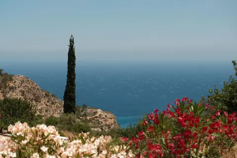 Natura e Mare in Δημοτική Ενότητα Καρπάθου — foto 13