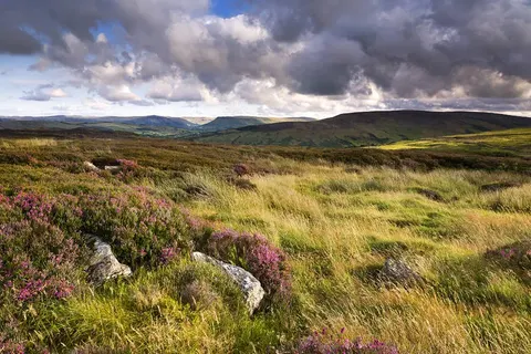 Ontdek Ierland in 11 dagen foto 25