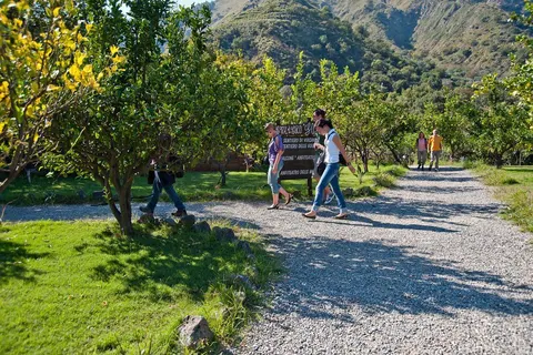 Glamping Alcantara in Motta Camastra — foto 13